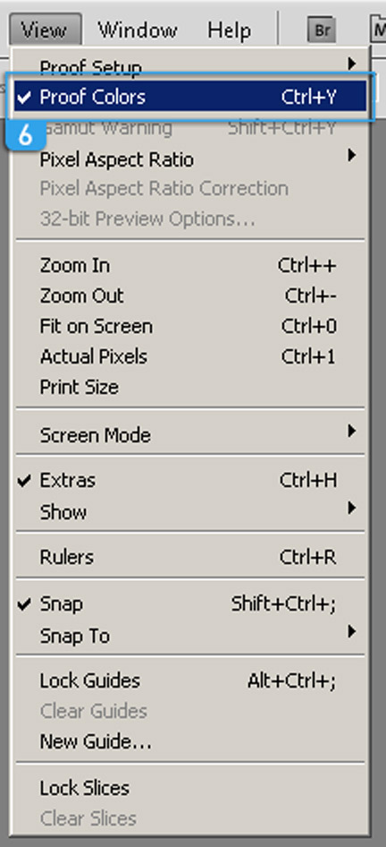 Proof colors for linear workflow