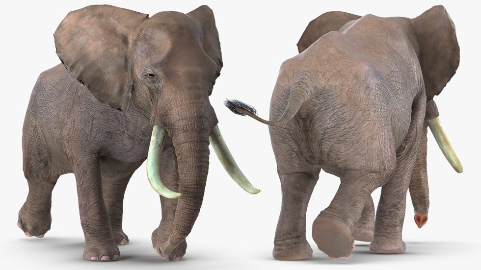 Optimal use of wide aspect ratio for single 3d model