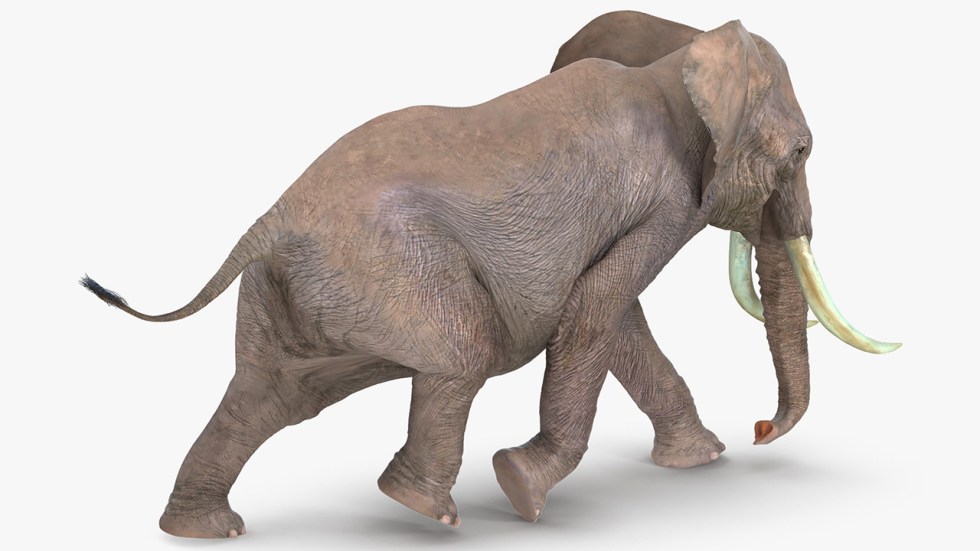 Example of simple 3D model lighting