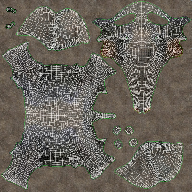 UV Layout of 3D Model