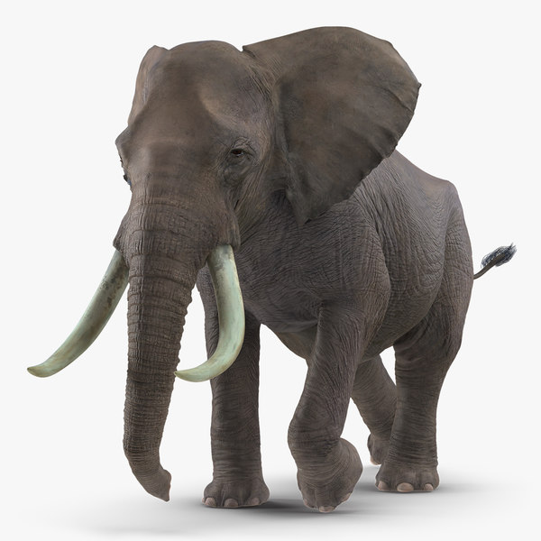 Example of Search Image on TurboSquid